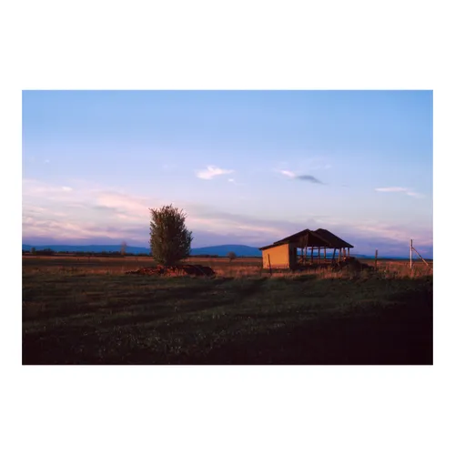 A Shed in the Sunset