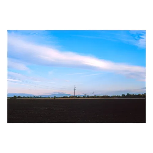 Power Lines in Autumn
