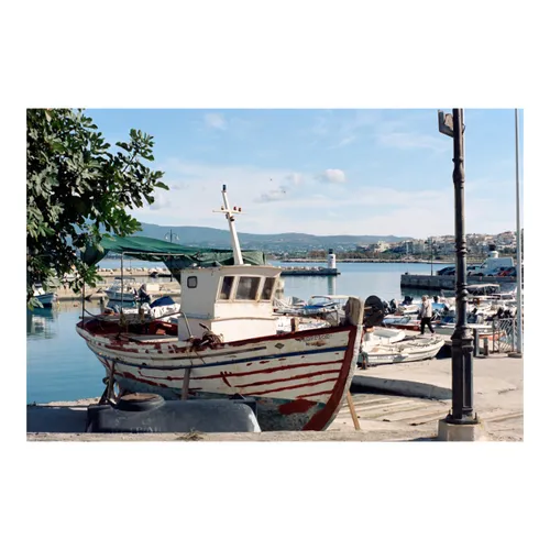 Stranded Ashore