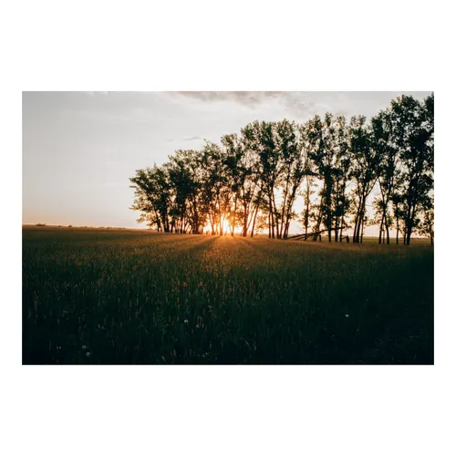 Sieved Sunset